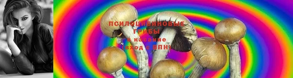 кокаин премиум Осташков